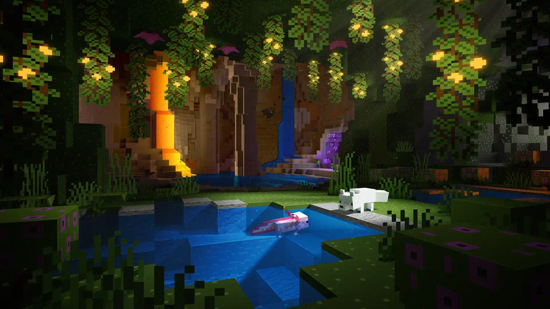 Mobile banner image 6